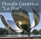 Floralis Generica: La Flor